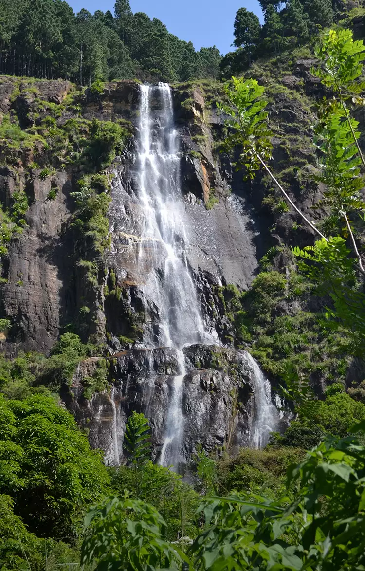 bamabarakanda