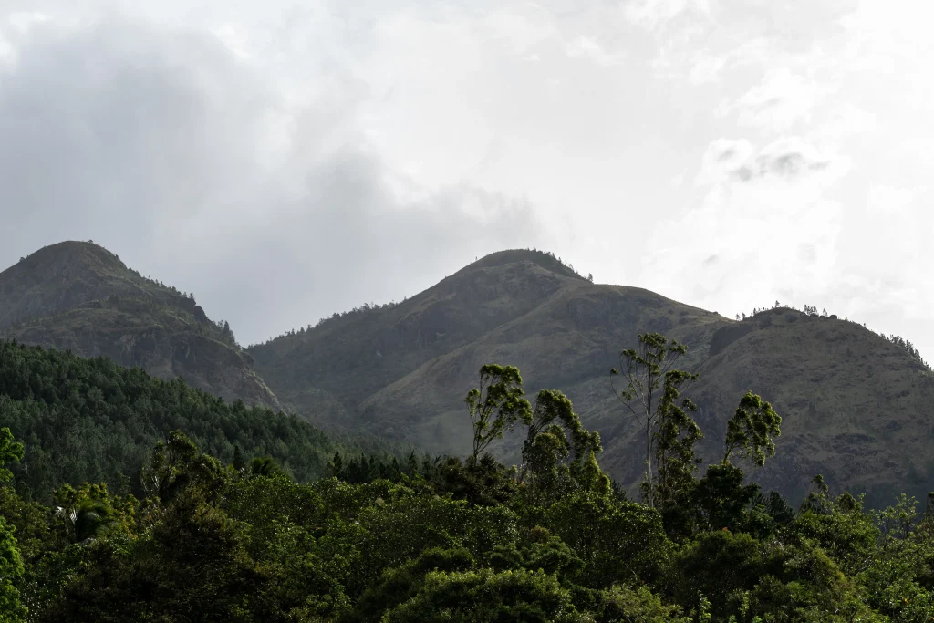 DSC09548