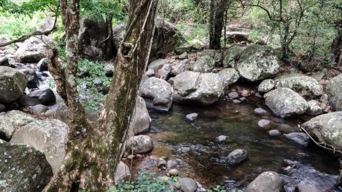 river-villa-06